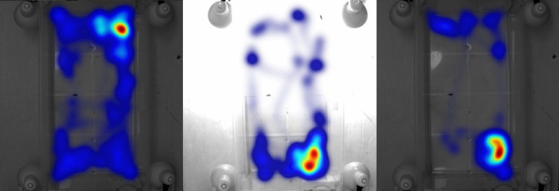 fanselow-heatmap-1030x352